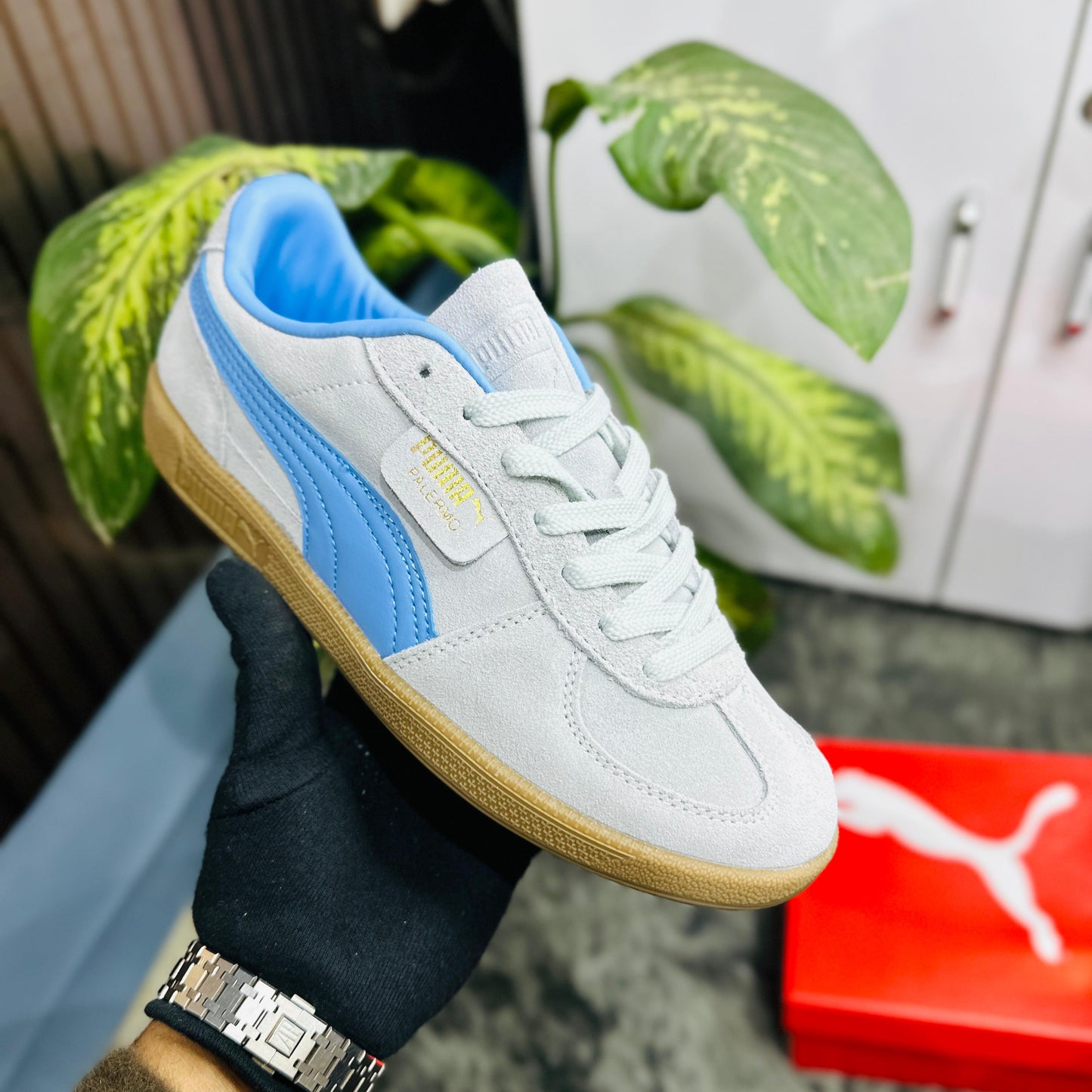 Puma palermo