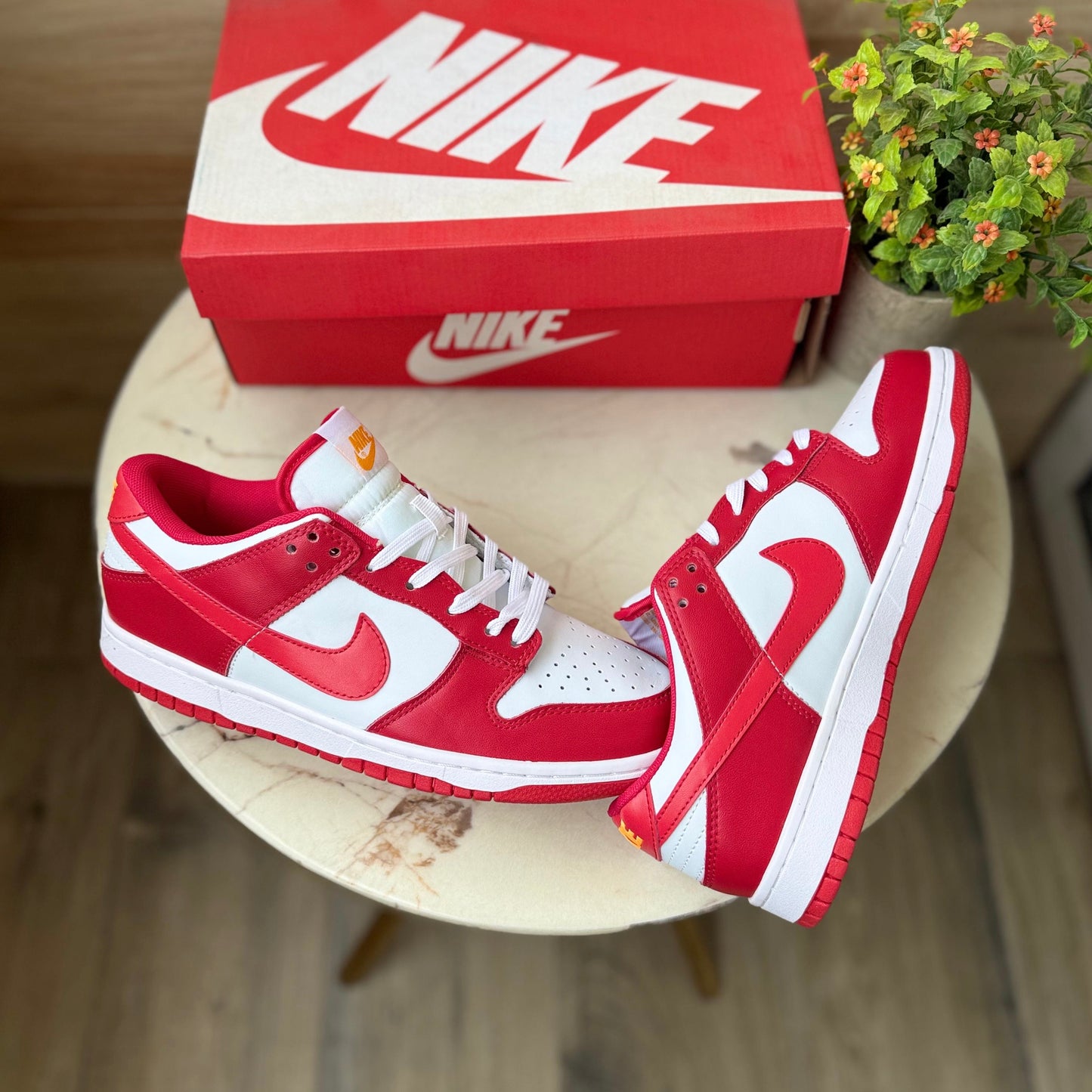 Nike sb dunk gym red