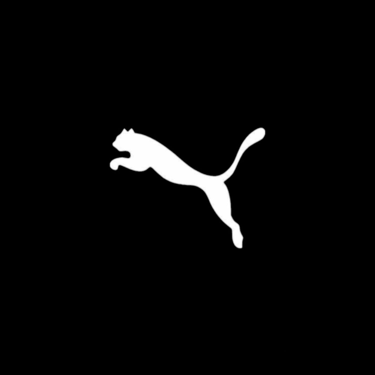 𝗣𝗨𝗠𝗔