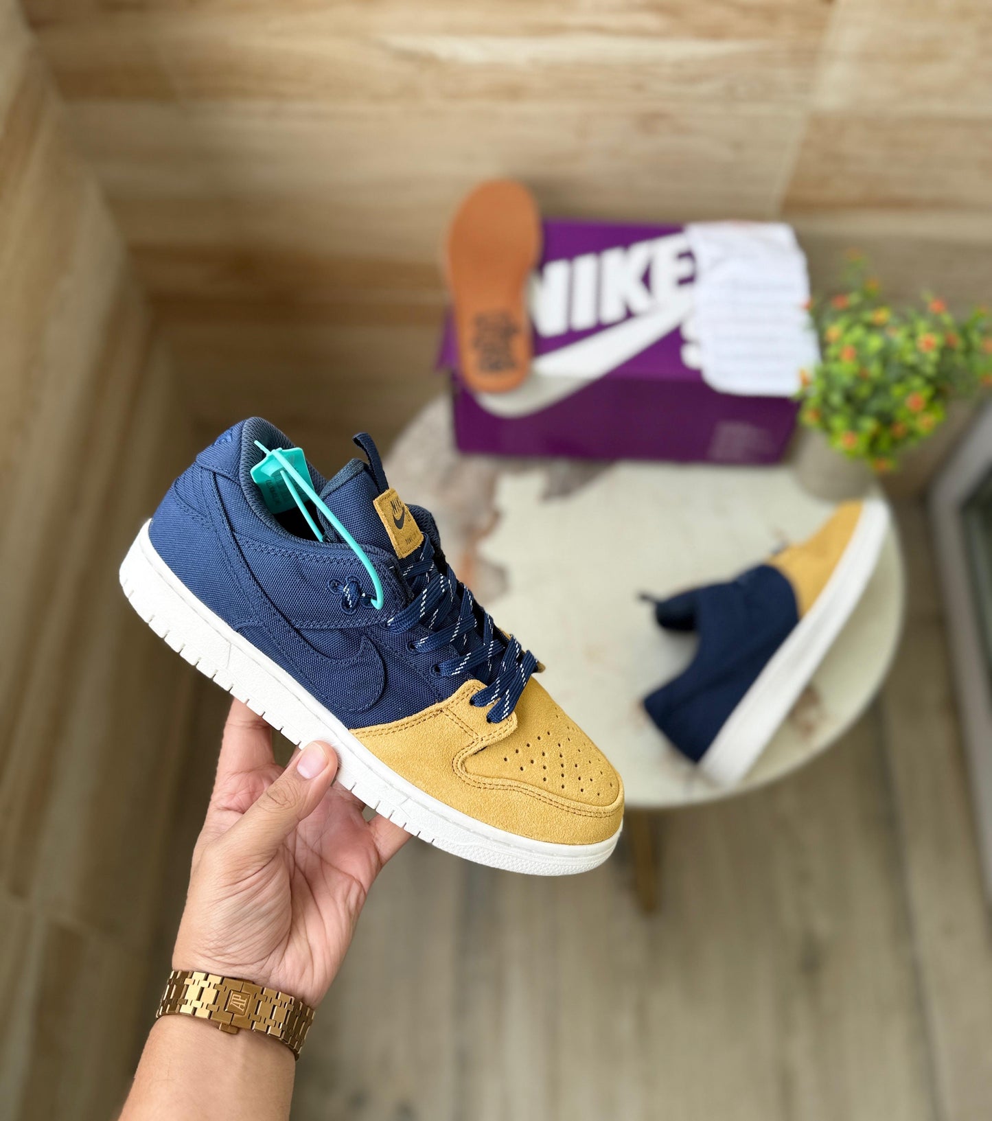 Nike sb dunk low pro backpack