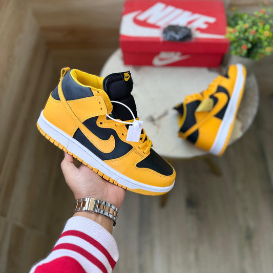 Nike sb dunk varsity high