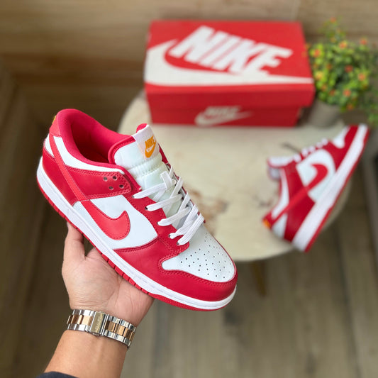 Nike sb dunk gym red