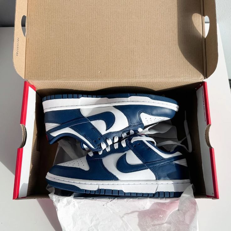 NIKE SB DUNK LOW VALERIAN BLUE