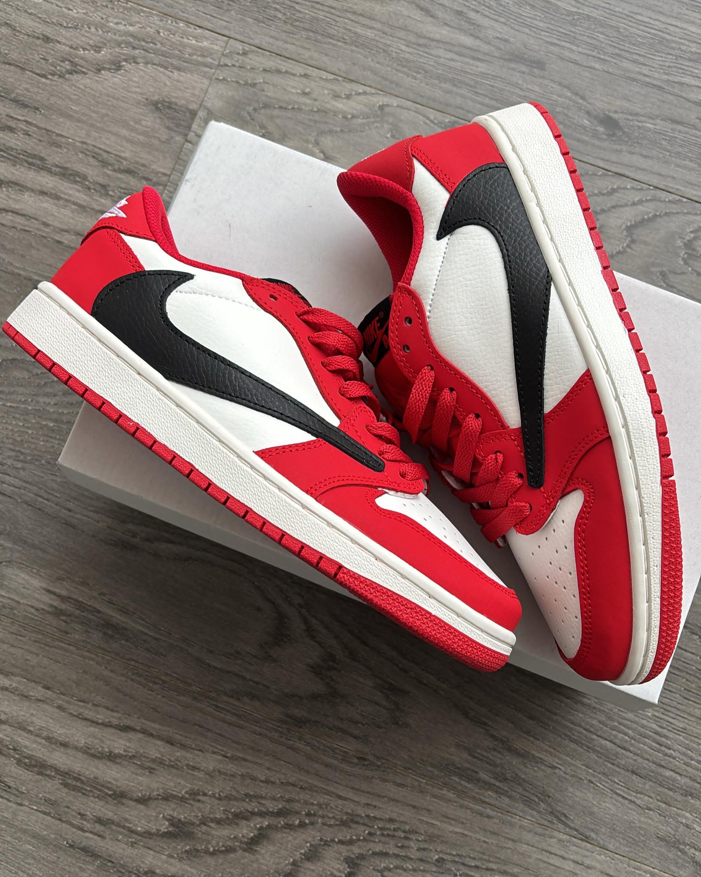 Jordan cut low jack cactus